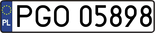 PGO05898