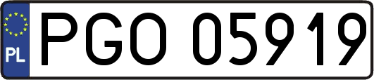PGO05919
