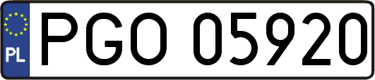 PGO05920