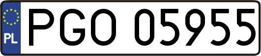 PGO05955