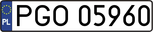 PGO05960
