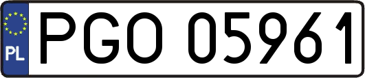 PGO05961