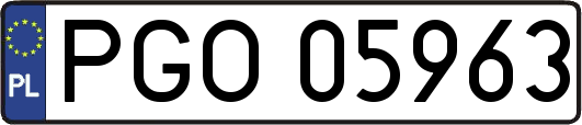PGO05963