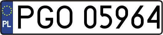 PGO05964