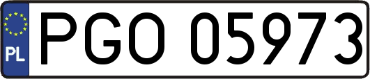 PGO05973