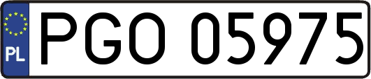 PGO05975