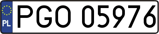 PGO05976