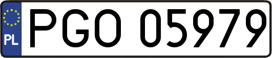 PGO05979