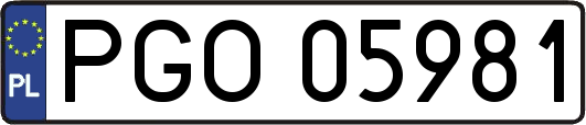 PGO05981