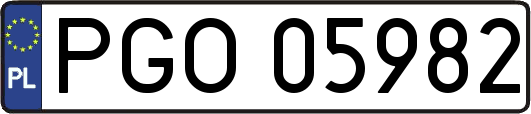 PGO05982