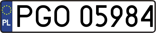 PGO05984