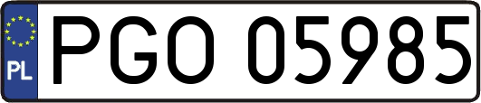 PGO05985