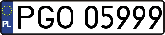 PGO05999