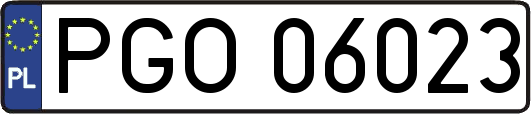 PGO06023