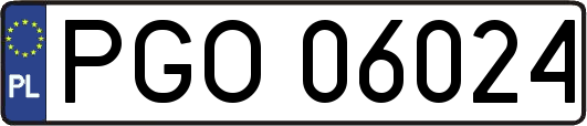 PGO06024