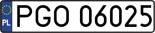 PGO06025