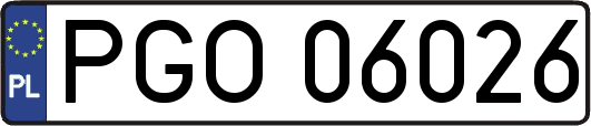 PGO06026