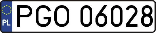 PGO06028