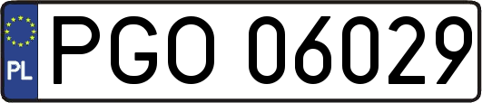 PGO06029