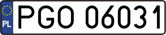 PGO06031