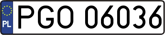 PGO06036