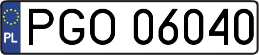 PGO06040