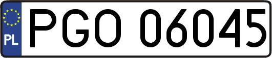 PGO06045