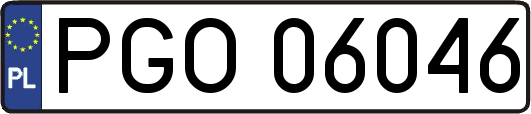 PGO06046