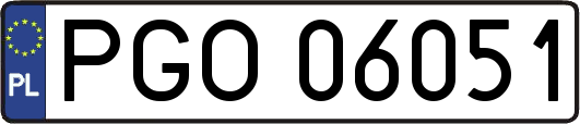 PGO06051