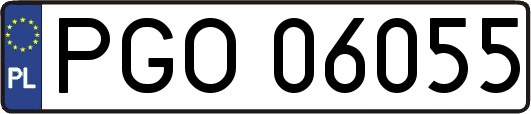PGO06055