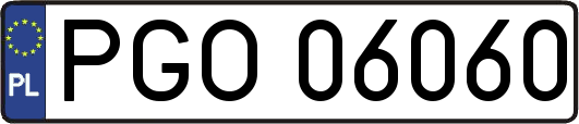 PGO06060