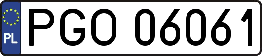 PGO06061