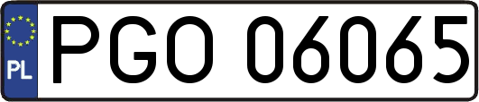 PGO06065