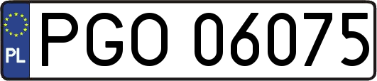 PGO06075