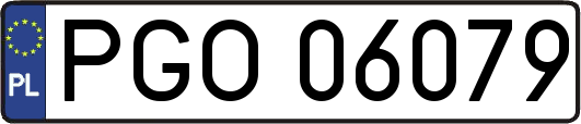 PGO06079