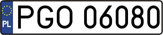 PGO06080