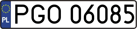 PGO06085