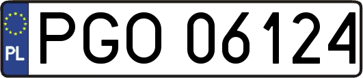 PGO06124