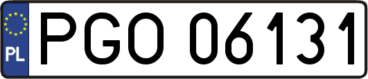 PGO06131