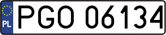 PGO06134