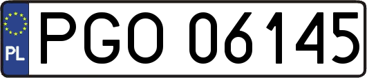 PGO06145