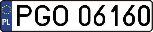 PGO06160