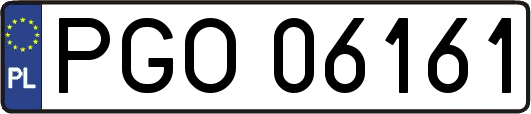 PGO06161