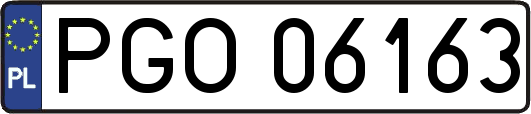 PGO06163
