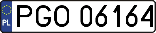 PGO06164