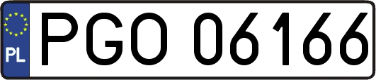 PGO06166