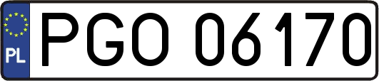 PGO06170