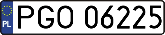 PGO06225