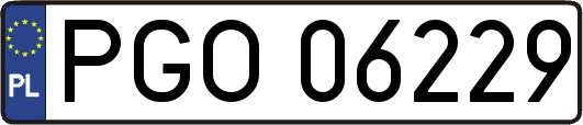 PGO06229