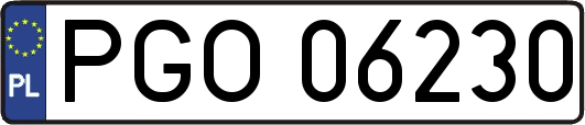 PGO06230